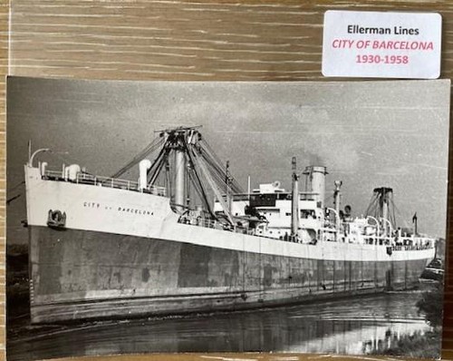 Album ellerman lines - album, 35