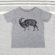 Wild Goat zoo animal - Baby