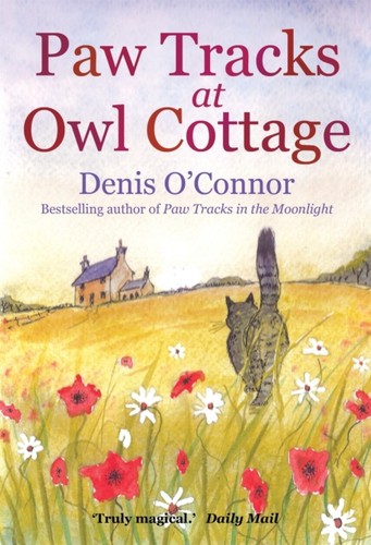 Paw tracks owl - paw, by