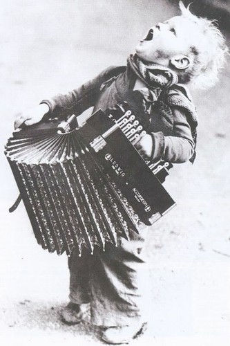 Antique accordion photo - antique, 3905