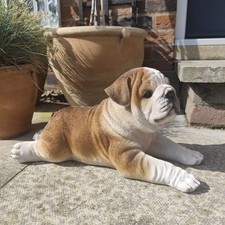 Vivid Arts - Realistic Laying