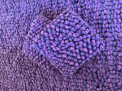 Dreamweavers pebble purple rug - pebble,