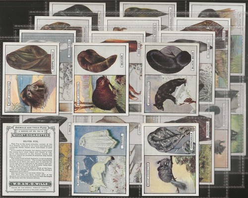 Wills full set animals - wills-full, &