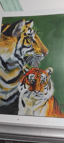 Tigers