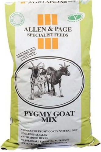 Allen page pygmy goat - allen, mix