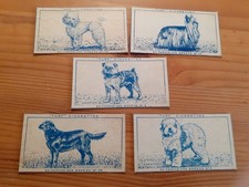 VINTAGE CARRERAS TURF CIGARETTE CARDS Famous Dog Breeds x 5 No: 2, 5 39, 46 & 48