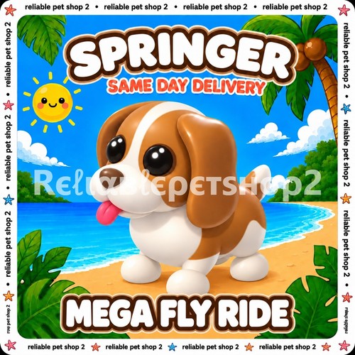 Mfr brown springer spaniel - springer, ✨