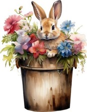 Colourful Floral Peter Rabbit