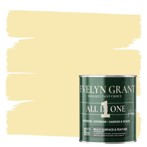 Evelyn grant all one - all-in-one, paint