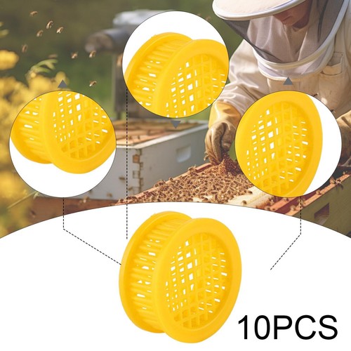 10x queen bee cages - bee,