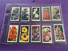 Garden Flowers a full set of