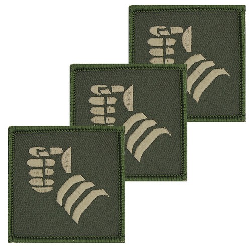 Armoured infantry - armoured,
