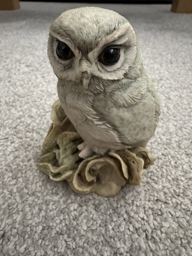 Teviotdale owl collectible - teviotdale,