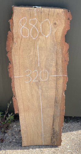 Live edge oak timber wood - edge,