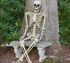 Giant life size human skeleton - human,