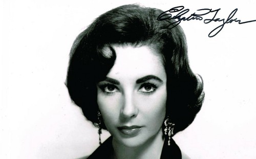 Elizabeth taylor signed - elizabeth,