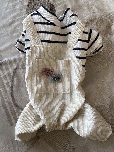 Dog outfit dungarees - dog,