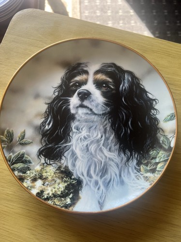 Little prince cavalier king - little,