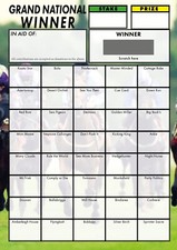 Horse racing - horse, (grand