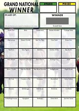 Horse Racing (Grand National)