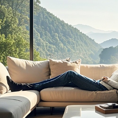 Protective window privacy - protective,
