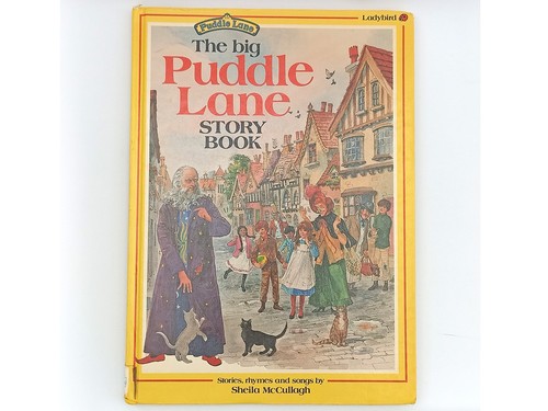 The big puddle - lane, book