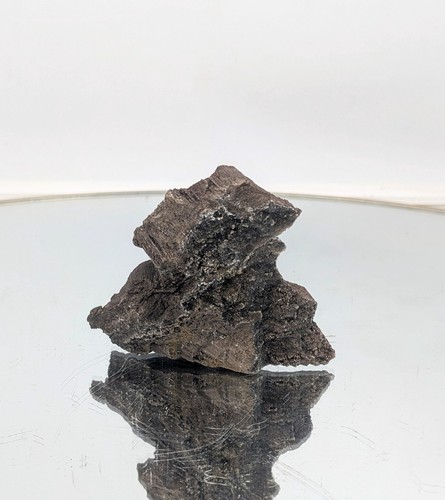 Fossil wood quartz crystal - fossil,