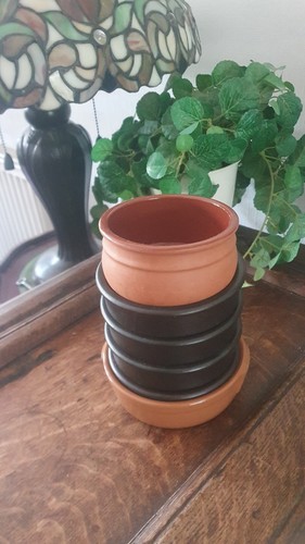 Set ceramic tapas olive - tapas,