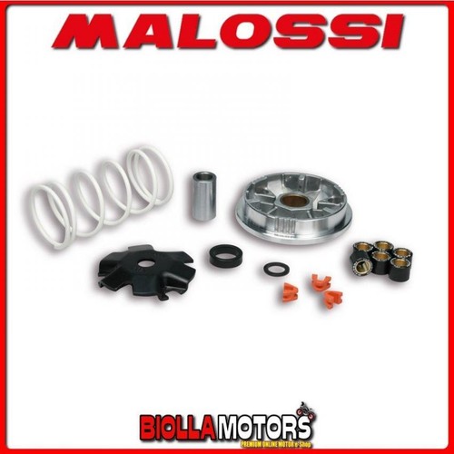 5113603 variator malossi - 5113603,