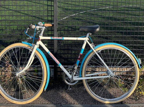 Vintage style single speed - vintage-style, single-speed