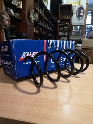 Front coil spring - coil,