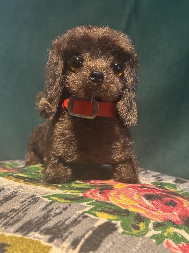 Vintage 1970s lucky dog - 1970s, dog"