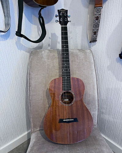 Snail acoustic string - snail, 4-string