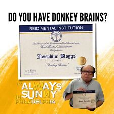 always sunny tv show personalised donkey brains certificate a4 sized