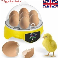 Digital Egg Incubator Chicken