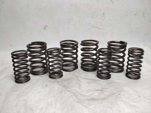 Set pieces springs - set, valves