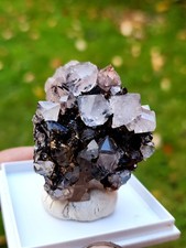 Quartz, Siderite And Specularite On Hematite, West Cumbria,  Uk + Display Box