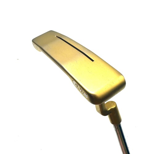 Ping 1966 anniversary - ping, anser