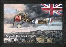 Sopwith Pup Framed Wall Art