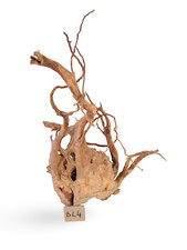 Aquarium Wood Natural Fish