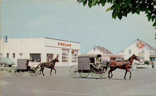 Street view horse carriage - horse,