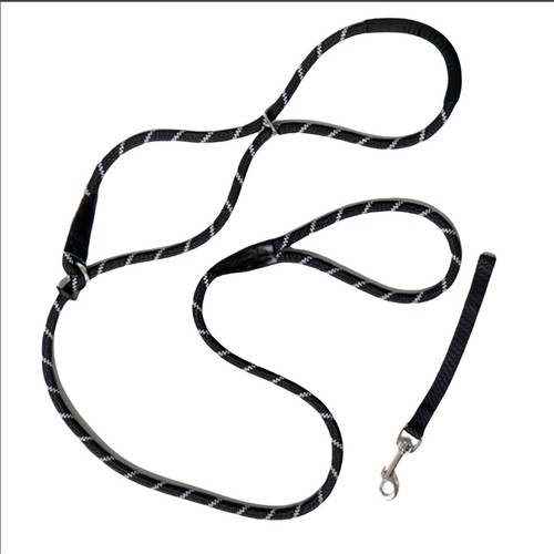 Large dog halter - dog,