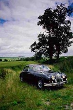 Metal Sign 778039 1960 Jaguar