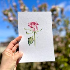 Original watercolour - original,