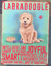 Golden Labradoodle Metal Wall Sign For Inside The Home ( Size 40x30cms )
