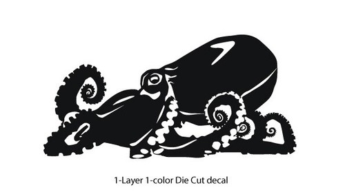 Sea life octopus - life,