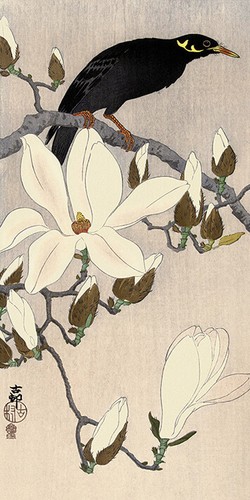 Ohara koson myna - on, a