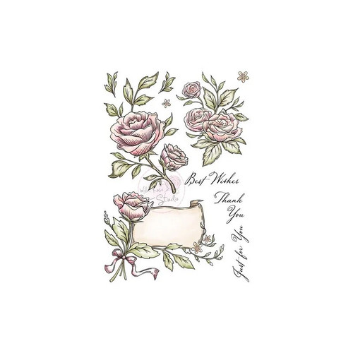 Wild rose studio - wild,