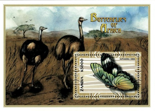 Zambia 2000 butterflies of - 2000,