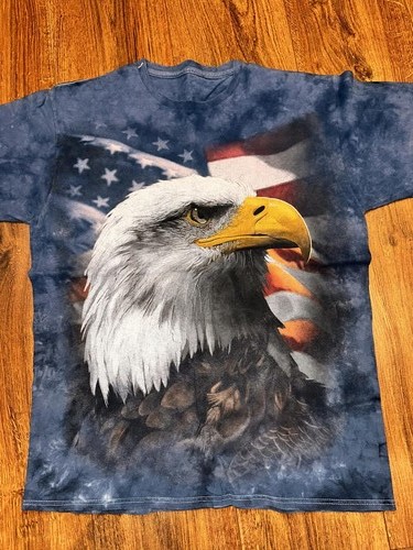 Bald eagle american flag - bald,